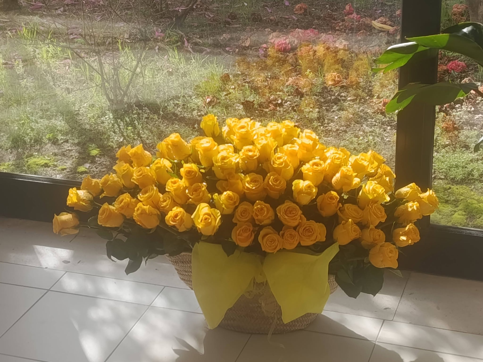 Trabalho realizado pela Fatirosa